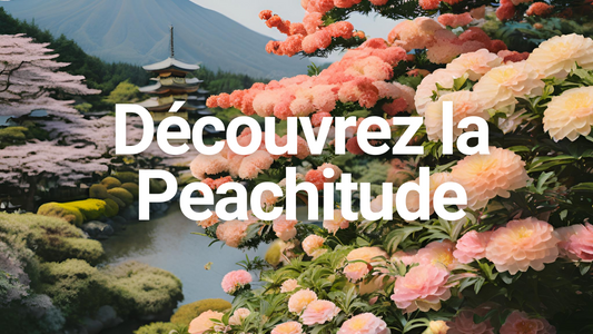 Découvrez la Peachitude : un mode de vie centré sur le bien-être, l’écologie et le luxe, incarné par les bidets Peach.